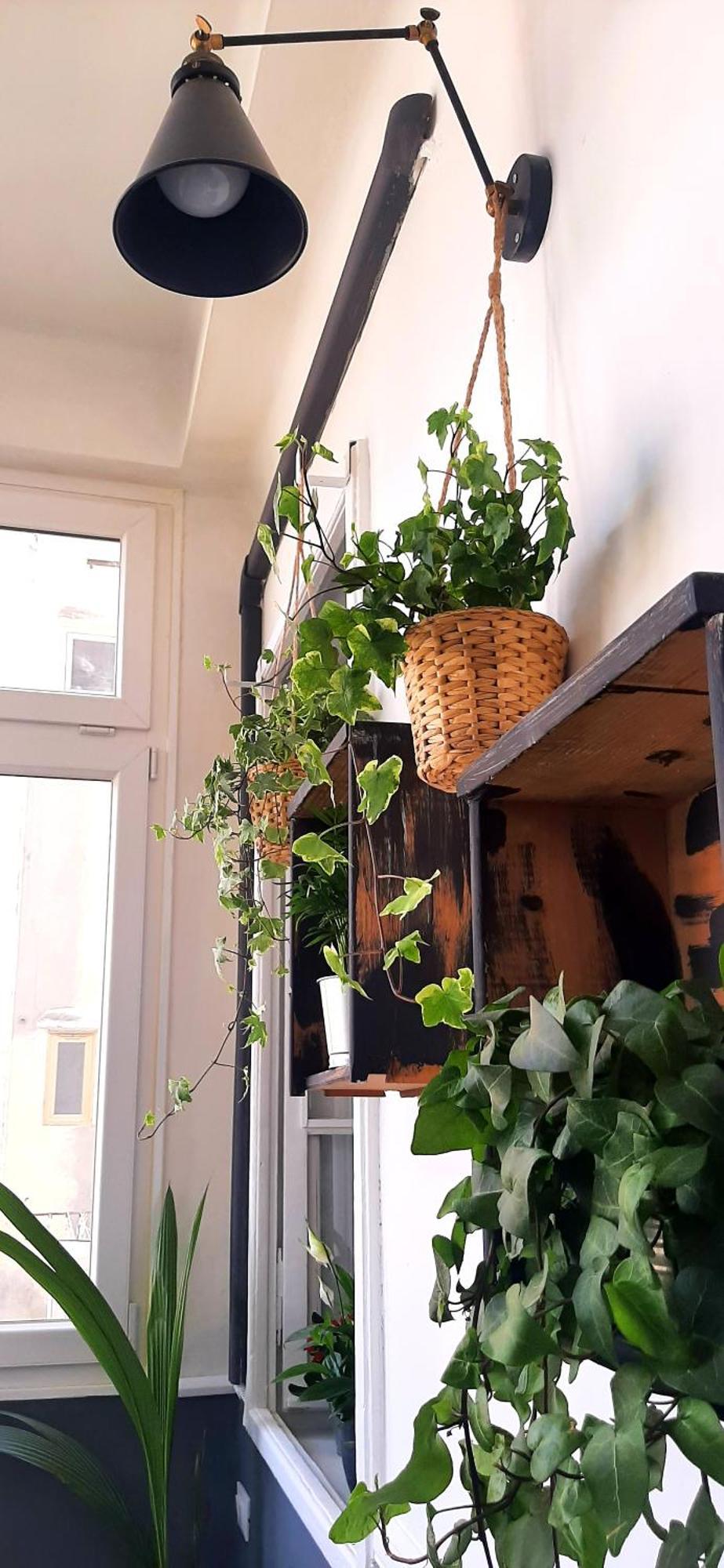 Apartament Saint Jack Luxury Triest Zewnętrze zdjęcie